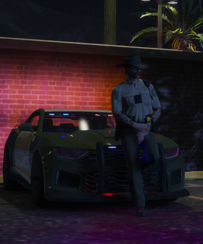 BCSO support units