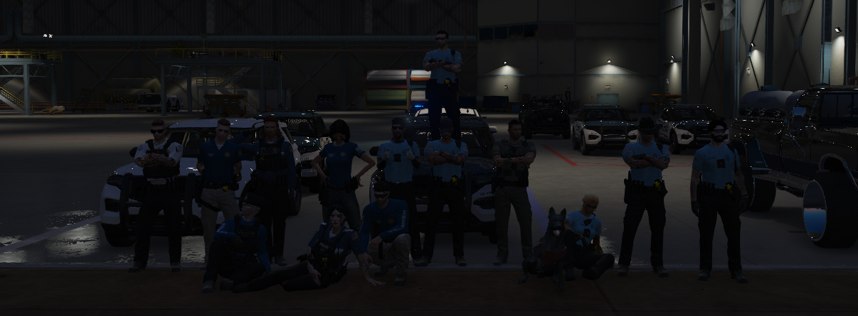 LSPD units staged in the city